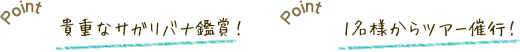 カヤック