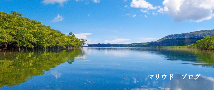 西表島マリウドブログ