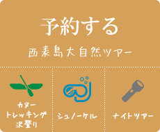 西表島大自然ツアーを予約