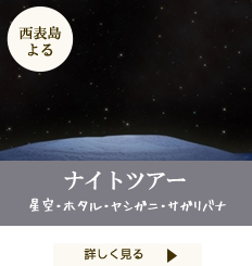 サガリバナホタル