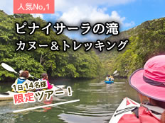 カヌートレッキングツアー