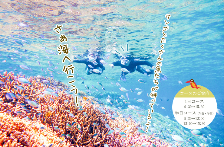 バラス島・鳩間島シュノーケリルツアー