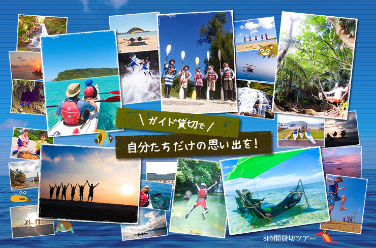 西表島貸切ツアーガイド