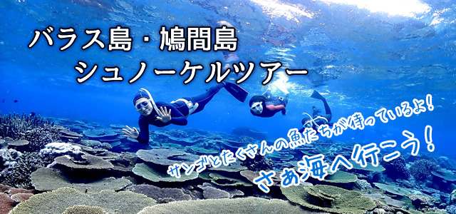 バラス島・鳩間島|シュノーケルツアー