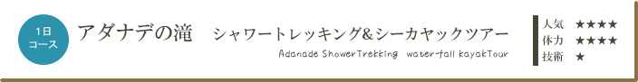 西表島アダナデの滝シャワートレッキング&シーカヤックツアー