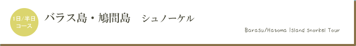 極上シュノーケリング海人ツアー