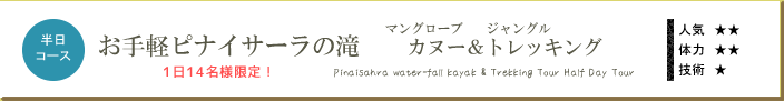お手軽ピナイサーラの滝・マングローブカヌー＆トレッキングツアー