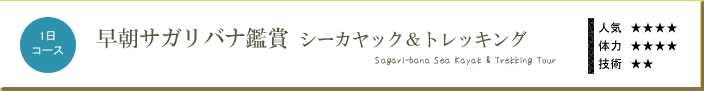 早朝サガリバナ鑑賞・シーカヤック＆トレッキングツアー