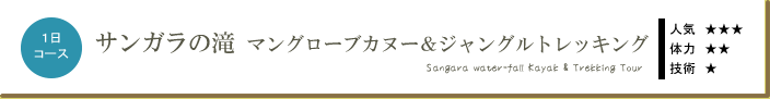 サンガラの滝・マングローブカヌー＆ジャングルトレッキングツアー