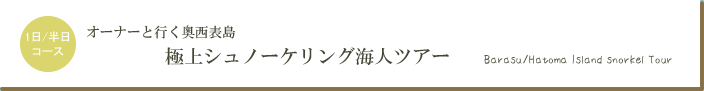 極上シュノーケリング海人ツアー