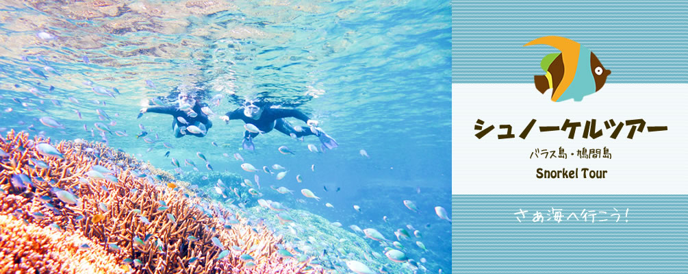 シュノーケル