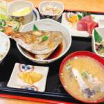 カンパチのお頭登場♪