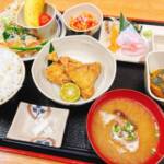 コロダイ?!♪ コロダイ?!♪