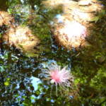 みんなで楽しく みんなで楽しく