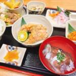 とれたてタカセ貝♪ とれたてタカセ貝♪