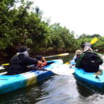 がんばりにびっくり