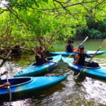 ピナイサーラの滝1日ツアー ピナイサーラの滝1日ツアー