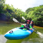 ピナイサーラの滝1日ツアー ピナイサーラの滝1日ツアー
