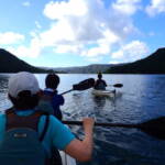 久しぶりに穏やかな海