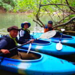 ピナイサーラの滝ツアー