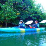 ピナイサーラの滝1日ツアー