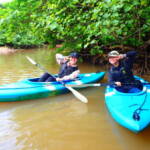 2025年12月2日ピナイサーラの滝1日ツアー 2025年12月2日ピナイサーラの滝1日ツアー