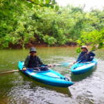 ピナイサーラの滝1日ツアー
