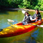 2026年2月16日ピナイサーラの滝1日ツアー 2026年2月16日ピナイサーラの滝1日ツアー