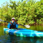 ピナイサーラの滝1日ツアー