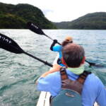 マングローブシーカヤック満喫 マングローブシーカヤック満喫