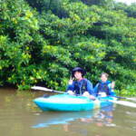 ピナイサーラの滝1日ツアー