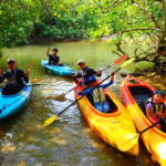 ピナイサーラの滝1日ツアー ピナイサーラの滝1日ツアー