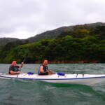 風廻りで苦労したけど