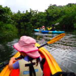 カヌーも滝も楽しい！