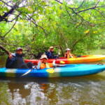 ピナイサーラの滝1日ツアー